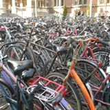 Radeln auf Niederländisch. Ein Beitrag aus Groningen von Jana Münkel