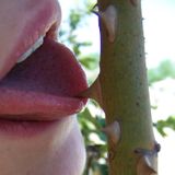 My thorns
