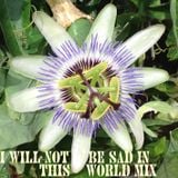 I Will Not Be Sad in this World Mixtape