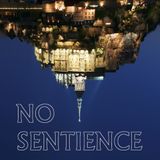 No Sentience (First mix I went and did ever)