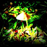 LIVESET Trance prog-Psytrance 1 h 20 by FoolKan