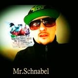 Mr. Schnabel - Podcast