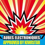 Kiwistar Live @ Aubes Electroniques Part Electro Hardcore