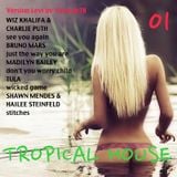 TROPICAL HOUSE 01 (Wiz Khalifa, Charlie Puth, Bruno Mars, Madilyn Bailey, Tula, shawn Mendes ...)