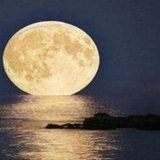 جوهر صدر المحافل