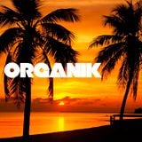 Organik #001