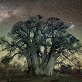Spatial Feed - Landing Ancestral Home (January 2016)