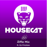DJ Friction Mix For Deep House Cat Show 9/2014