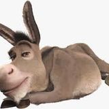 Donkey Broths ;)