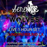 Serenade & WOLVES @UND3RGR0UND LA 5/3/14