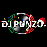 Nocturnal Vibes #226 - Mixed by: DJ Punzo