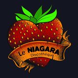 Le Niagara - Le mix du mois 003 (Spécial Moombathon par Julien Karlson's)