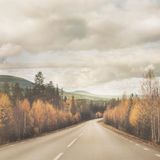 we are not afraid of autumn