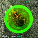 hobbling huafer