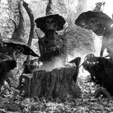 Season of the Witch Vol. 3: From Echoes They Haunt