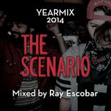 THE SCENARIO yearmix 2014 by Ray Escobar