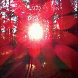 Episode 133: 2011 Quarterly Recap Pt. 9