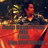 Deep House Pure Mixed By Liga Wolf Deejay.
