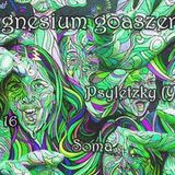 Soma live - Magnesium goaszerda 2014.07.16