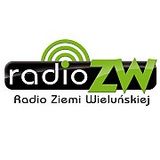 Blease & Bandi - Welcome Weekendowe Granie (08.05.2015) @ Radio ZW