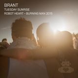 Barnt – Robot Heart - Burning Man 2015