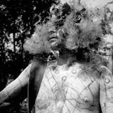 Dj Springbokleperbandage. Trimmingham's Disfigurement Liniment,