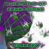 Whirlwind Of Sensations