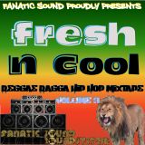 Fresh n Cool * Reggae-Ragga-Hip Hop Mixtape (Volume°3)