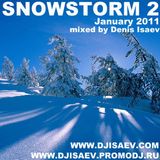SNOWSTORM (January 2011)