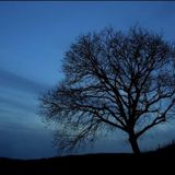 moonlight sonata 001