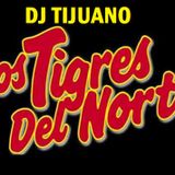 TIGRES MIX RANCHERAS DJ TIJUANO