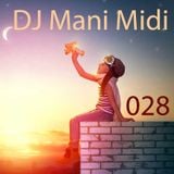 028- DJ Mani Midi: I Would Fly DJ Mix (Leap Day Bounce)