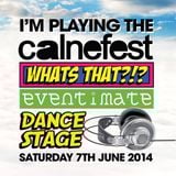 CalneFest Promo Mix (Lester Averman)