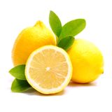 Limonádé #12 - Antechinusok