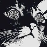 Mr Datiq - Mountain Rave 1 year anniversary Promo Mix