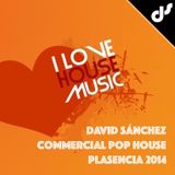 Commercial Pop House by David Sanchez (Plasencia 2014)