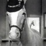 My Schwindel, My Pony & Me