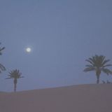 FR David - Sahara Nights (DJ Tigerstripes Dates and Figs Edit)