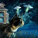 A SIDE - mix tape vol 1 - dj pannik - lsd morning trip