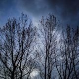 Songs For A Rainy Day 3
