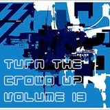Turn The Crowd Up Vol.13