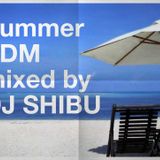 Summer ~EDM~