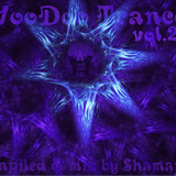ShamanicDj - VooDoo trance vol.2