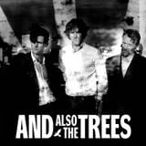 L'Oeil du Kong: And Also The Trees