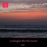 Looking for the Pink Sunset Vol-1