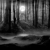 Dark nights