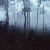 Seance VII: THE CALLING by ASHTORETH