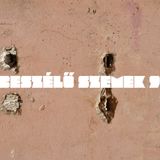 ● Beszélő szemek_09__Fésüs Tamás