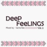 Deep feelings vol 2 - Mixed by Sacha Bae