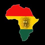 AFRICA MIX 2013
